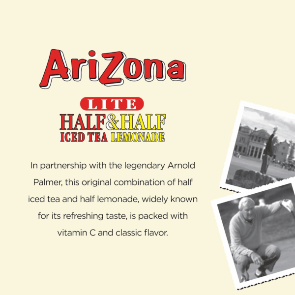 Arnold Palmer Half and Half - 16 Fl Oz (Pack of 12) - Image 3