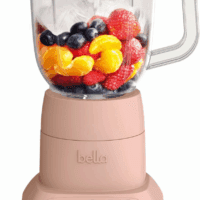 10 Speed Countertop Blender, Juicer & Smoothie Maker, Fits-Anywhere™ Kitchenware, Slim Flip & Store Design, Dishwasher Safe 48Oz Capacity Pitcher & Lid, Stainless Steel Blade, 450 Watt, Blossom