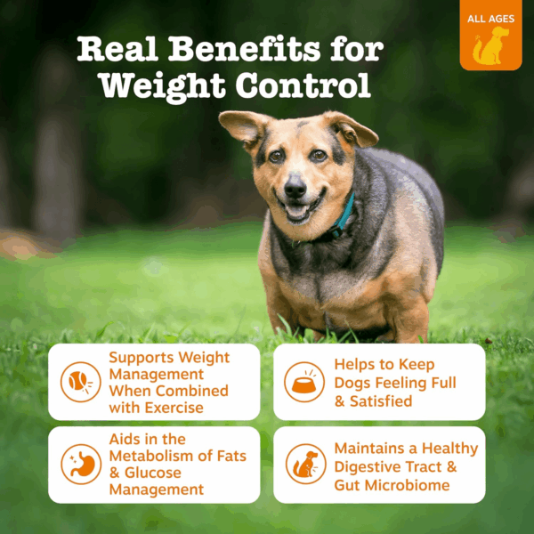 Vet Strength Weight Management Bites, Chicken, Dog, 10Ct (Sample - Pouch) - Image 2