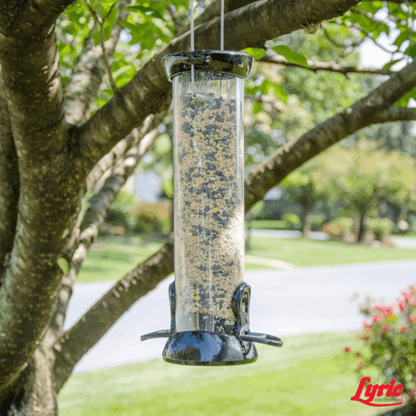 Wild Bird Mix - Wild Bird Food for outside Feeders - Attracts Doves, Jays and Many More - 40 Lb. Bag - Image 7