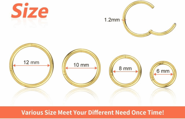 4Pcs 16G 18G 20G Surgical-Steel-Piercing-Ring-Nose-Rings-Hinged-Hoop-Earrings,6Mm 8Mm 10Mm 12Mm Seamless Stainless Steel Clicker Eyebrow Septum Piercing Hoop,Sliver Black Gold Rose Gold Rainbow Body Jewelry Set - Image 4