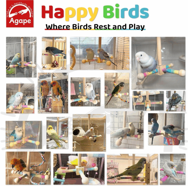 Bird Perch Toy, Parrot 360° Interactive Rotating Toy, Bird Cage Accessories for Small and Medium Parrots to Expend Energy, Wooden Stand for Parakeets Cockatiels Lovebirds Conures Finches Budgies - Image 4