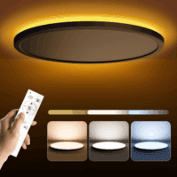 15.4In LED Flush Mount Ceiling Light Fixture with Remote, 2000K Warm Nightlight, Dimmable 3000K-6500K Low Profile Ceiling Lights for Bedroom, Living Room, 3600LM Black