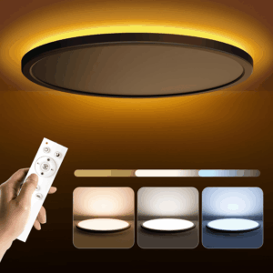 15.4In LED Flush Mount Ceiling Light Fixture with Remote, 2000K Warm Nightlight, Dimmable 3000K-6500K Low Profile Ceiling Lights for Bedroom, Living Room, 3600LM Black