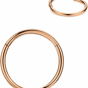 Men Women 316L Surgical Steel Hinged Nose Rings Hoop for Nostril Septum Cartilage Helix Daith Tragus Rook Conch Lip Ear Lobe Piercings