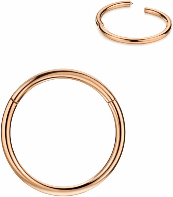 Men Women 316L Surgical Steel Hinged Nose Rings Hoop for Nostril Septum Cartilage Helix Daith Tragus Rook Conch Lip Ear Lobe Piercings