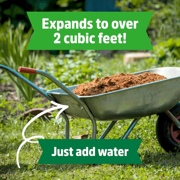 Organic Coir, 51 Quart Expanding Soil, Great for Seeds and Potting - Image 3