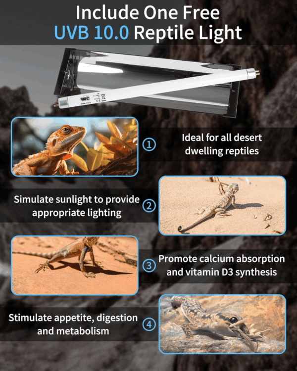 T5 Reptile Light Fixture Combo Kit 8W (New Upgrade), Desert UVB 10.0 12" Fluorescent Tube UVA UVB Reptile Light for Lizard, Bearded Dragon, Tortoise - Image 6