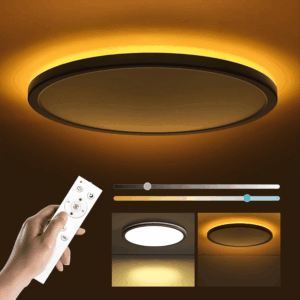12In LED Flush Mount Ceiling Light Fixture with Remote Control, Nightlight 2000K Warm, 3000K-6500K Adjustable, Low Profile Ceiling Lights for Bedroom, Kitchen, Living Room, Black