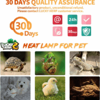150W Ceramic Heat Emitter, Reptile Heat Bulbs, Ceramic Heat Lamp for Reptiles, Amphibian, Chicken, Dog, Cat (2-Pack) - Image 7