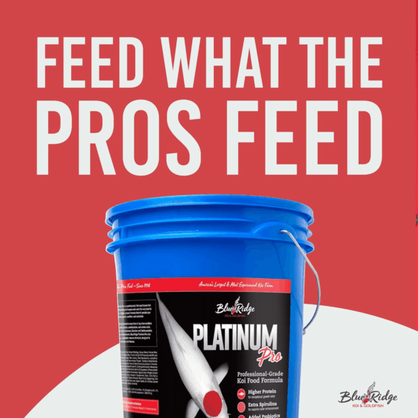Blue Ridge Koi Fish Food 14Lb - Koi Food 3/16” Platinum Pro Formula Goldfish Food, Premium Fish Food for Ponds, Ponds Fish Food, Floating Pond Pellet - Image 3
