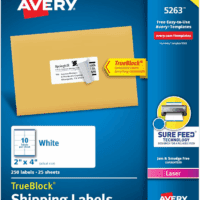 Printable Shipping Labels with Sure Feed, 2" X 4" Customizable Stickers, White, 250 Blank Mailing Labels, Great for Mailing, Shipping, and More (5263)
