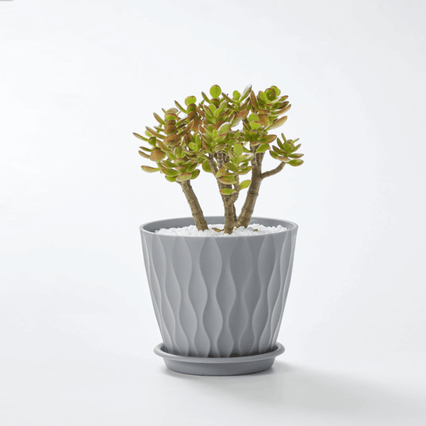 6-Pack 6-Inch Plastic Plant Pots with Saucers | Thickened PP Material, Modern Wave Texture, Enhanced Drainage for Indoor/Outdoor Garden Plants | Tricolor Value Set - Image 7