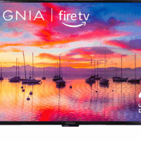 43-Inch Class F30 Series LED 4K UHD Smart Fire TV with Alexa Voice Remote (NS-43F301NA25)
