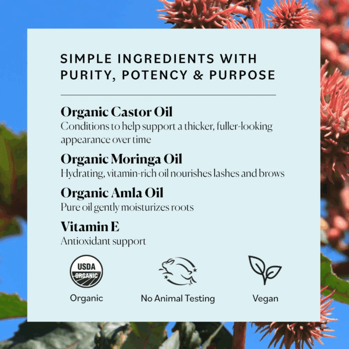 - Organic Lash & Brow Oil & Applicator - Eyelash Serum - Castor Oil Organic - Moringa, Amla, Vitamin E - Lashes, Eyebrows - Hair Oil - Self Care, Beauty - Gifts for Women - .4 Fl Oz, 12Ml - Image 5