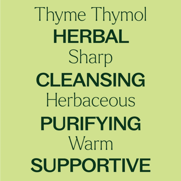 Thyme Thymol Essential Oil 100% Pure, Undiluted, Natural Aromatherapy, Therapeutic Grade 10 Ml (1/3 Oz) - Image 4