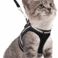 Cat Harness and Leash Set for Walking Escape Proof, Adjustable Soft Kittens Vest with Reflective Strip for Cats, Comfortable Outdoor Vest, Black, S