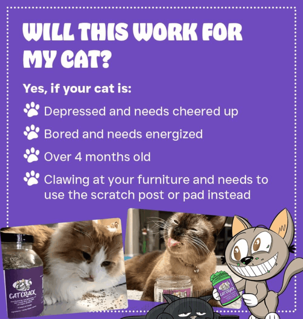 Catnip, Zoomie-Inducing Cat Nip Blend, North American Made & 100% Natural, Safe & Non-Addictive Catnip Treats Used to Supplement Cat Nip Toys, Spray, & Accessories (1 Cup) - Image 3