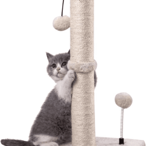 Cat Scratching Post Premium Basics Kitten Scratcher Sisal Scratch Posts with Hanging Ball 22In for Kittens or Smaller Cats (22 Inches for Kitten, Beige)