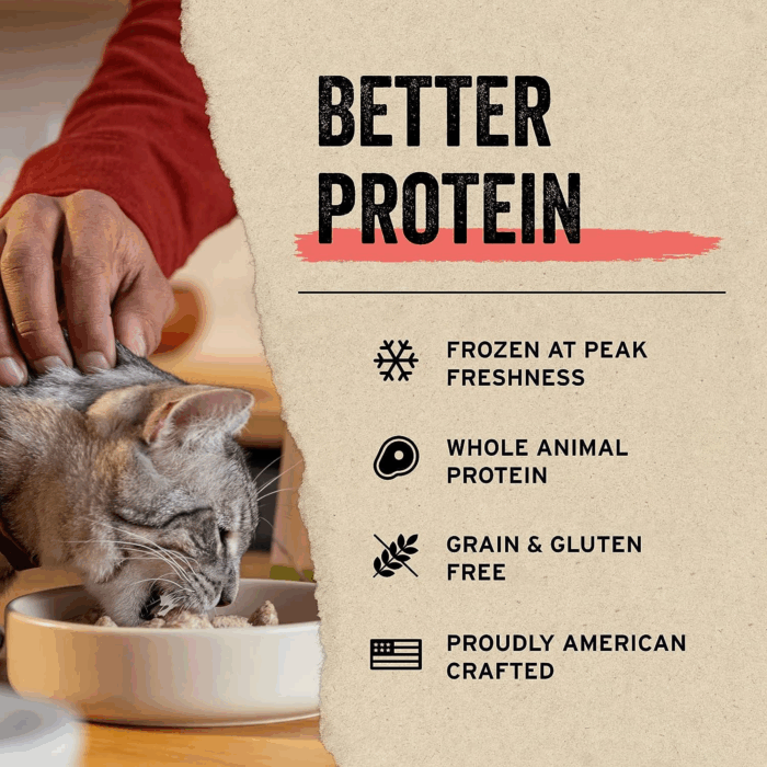 Freeze Dried Raw Cat Treats, Minnows Treats, 0.5 Oz - Image 5
