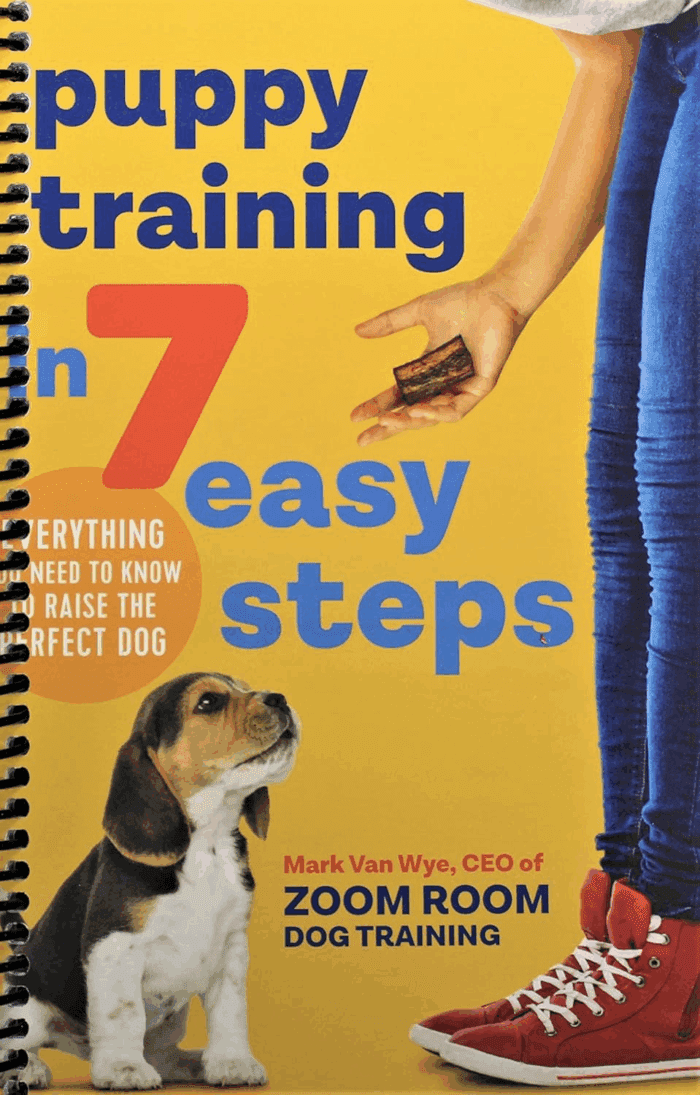 Puppy Training in 7 Easy Steps: Everything You Need to Know to Raise the Perfect Dog