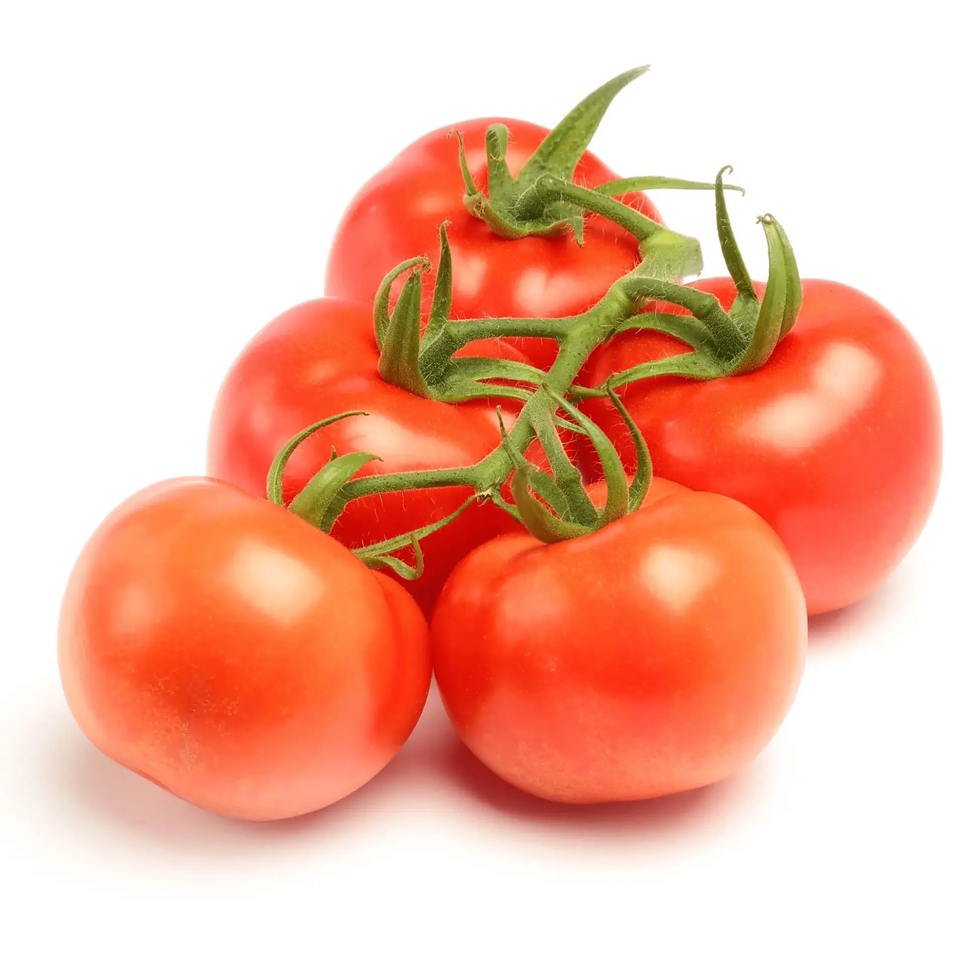 Fresh Tomato on the Vine, Bag (1.9 Lbs/Bag Est.) - Image 5