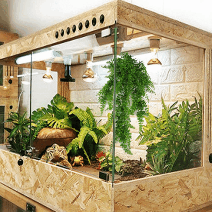 Reptile Plants Hanging Fake Vines Boston Climbing Terrarium Plant with Suction Cup for Bearded Dragons Lizards Geckos Snake Pets Hermit Crab and Tank Habitat Decorations (2 Pack) - Image 7
