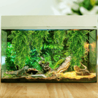 2 Pack Reptile Plants Terrarium Hanging Plant Artificial Leaves Reptile Hide with Suction Cup, Reptile Tank Accessories for Bearded Dragon Lizard Snake Geckos Chameleon - Image 5