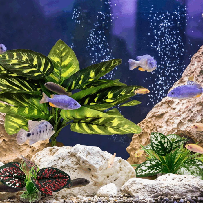 Reptile Artificial Plants, Terrarium Plants Decorations Supplies, Aquarium Fish Tank Plant, Amphibian Habitat Hideout Tank Accessories(L Set-3Pcs/B) - Image 5
