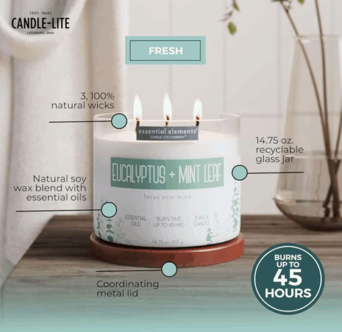 by  Scented Candles, Eucalyptus & Mint Leaf Fragrance, One 14.75 Oz. Three-Wick Aromatherapy Candle with 45 Hours of Burn Time, Off-White Color - Image 2