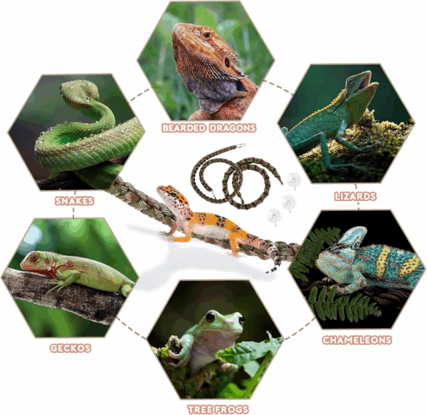 2 Pcs Reptile Vines for Climbing Bendable Jungle Vines Made of Handmade Umbrella Cord Weaving Rope Decor with 3 Suction Cup Accessories for Chameleon Crab Lizards Snakes Gecko Frog Hermit Crab - Image 6