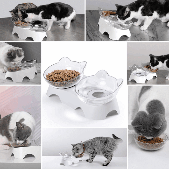 Cat Bowls, Cat Food Bowls Elevated Tilted, anti Vomiting Kitty Bowl for Puppy and Bunny, Orthopedic for Indoor Cats. - Image 3