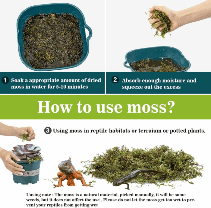 Sphagnum Moss for Reptiles - Terrarium Reptiles Moss Green Dried Peat Moss Habitat Bedding Moss for Snakes Turtle Frog Gecko and Other Reptiles Substrate (5, Ounces) - Image 4