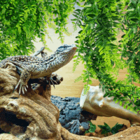 2 Pack Reptile Plants Terrarium Hanging Plant Artificial Leaves Reptile Hide with Suction Cup, Reptile Tank Accessories for Bearded Dragon Lizard Snake Geckos Chameleon - Image 7