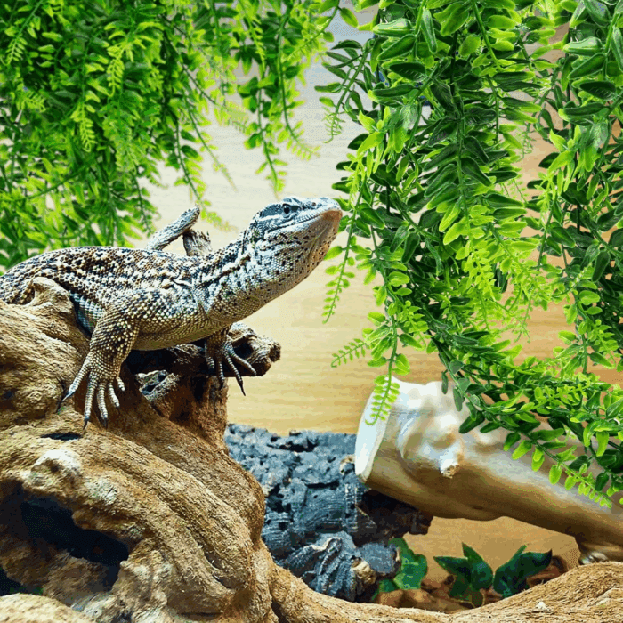 2 Pack Reptile Plants Terrarium Hanging Plant Artificial Leaves Reptile Hide with Suction Cup, Reptile Tank Accessories for Bearded Dragon Lizard Snake Geckos Chameleon - Image 7