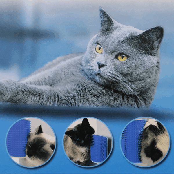 2 Pack Softer Self Groomer with Catnip Wall Corner Massage Comb Scratcher Grooming Brush Tool for Long & Short Fur Kitten Cats Dogs - Image 4