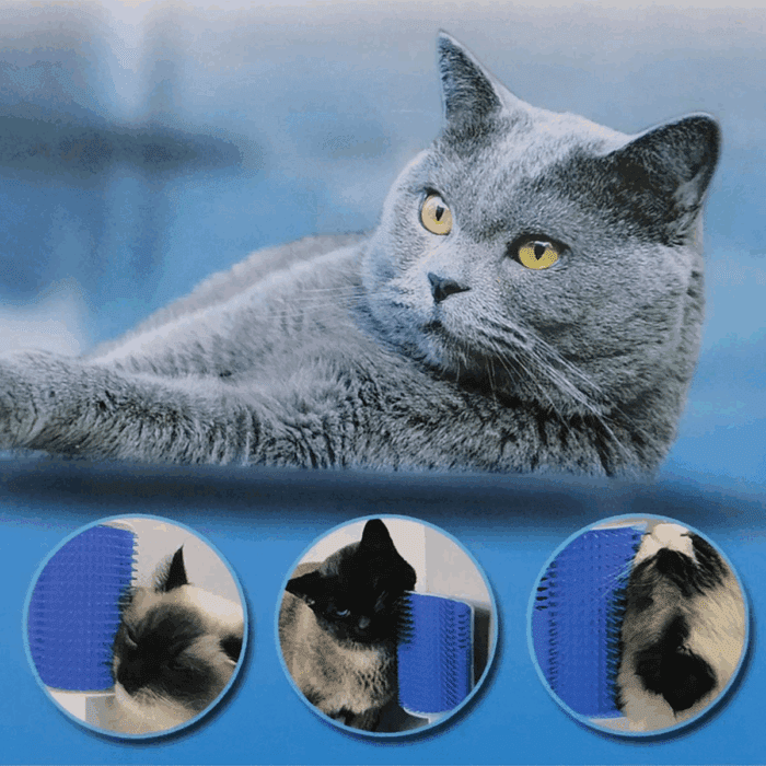 2 Pack Softer Self Groomer with Catnip Wall Corner Massage Comb Scratcher Grooming Brush Tool for Long & Short Fur Kitten Cats Dogs - Image 4