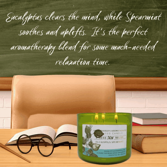 Eucalyptus Spearmint Aromatherapy 3-Wick Soy Scented Candle - 15.8 Oz Large Candle for Men and Women - Long Lasting Decorative Gift - Image 9