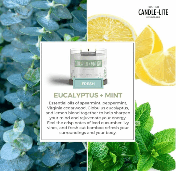 by  Scented Candles, Eucalyptus & Mint Leaf Fragrance, One 14.75 Oz. Three-Wick Aromatherapy Candle with 45 Hours of Burn Time, Off-White Color - Image 5