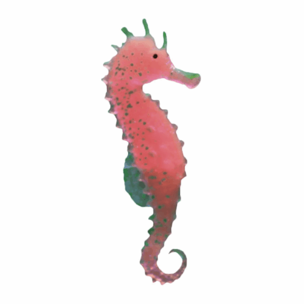 Aquarium Accessories | Aquarium Fish Tank Landscaping Decor Glowing Effect Animal Sea Horse Ornament | 1 Seahorse - Image 2