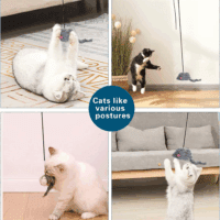 Interactive Cat Feather Toys,Retractable Teaser Toy ，Hanging Interactive Toys for Indoor Cats Kitten Play Chase Exercise, Kitten Mental Exercise Toys (1 Pack) - Image 7