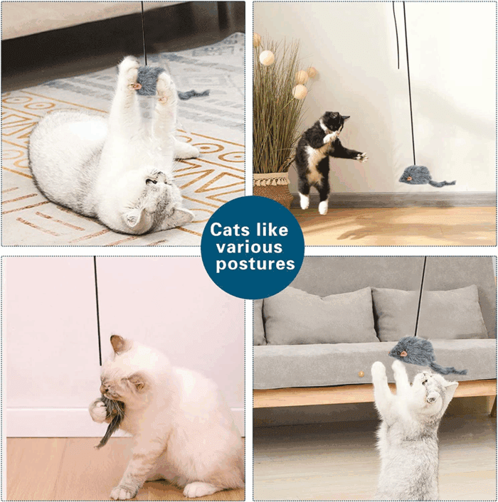 Interactive Cat Feather Toys,Retractable Teaser Toy ，Hanging Interactive Toys for Indoor Cats Kitten Play Chase Exercise, Kitten Mental Exercise Toys (1 Pack) - Image 7