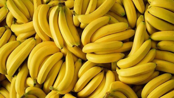 Fresh Banana, Each - Image 7