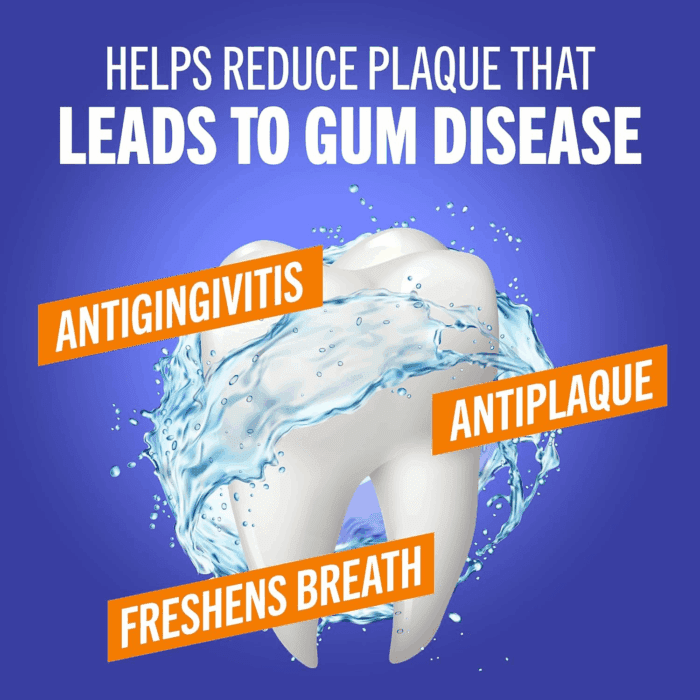 Healthy Gums Mouthwash Clean Mint, Antigingivitis, Dentist Formulated, 16 Fl Oz (2-Pack) - Image 4
