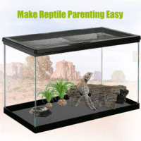 Reptile Carpet Reptile Substrate Floor Reptile Terrarium Mat Liner Durable and Dirt Resistant Reptile Carpet for Leopard Gecko Lizard Bearded Dragon Tank Accessories(Black) - Image 7