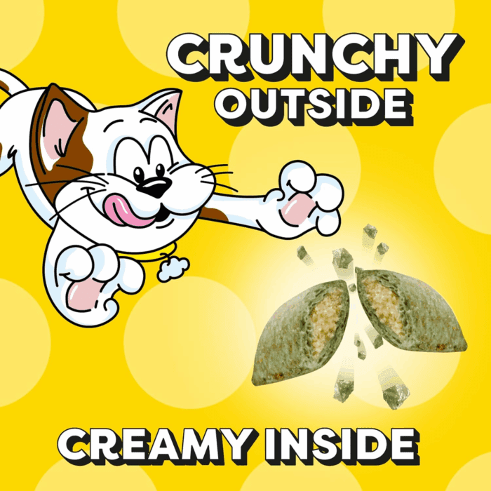 Classic Crunchy and Soft Cat Treats Blissful Catnip Flavor, 16 Oz. Tub - Image 5
