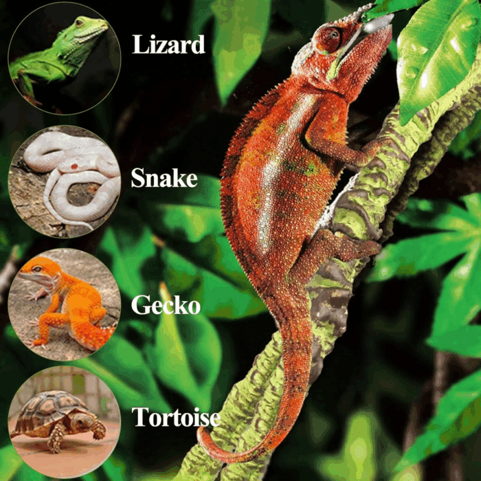 Reptile Vines, Flexible Jungle Climbing Vines Terrarium Plastic Plants and Leaves Tank Accessories Decor for Gecko Snake Lizard Bearded Dragon Hermit Crab Frog - Image 7