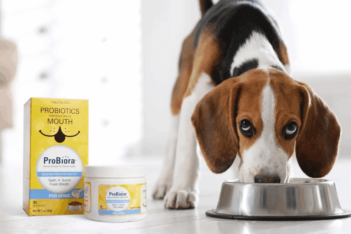 Probiora Probiotics for Dogs Dental Probiotic Dog Breath Freshener Tooth Powder, 30G - Image 3