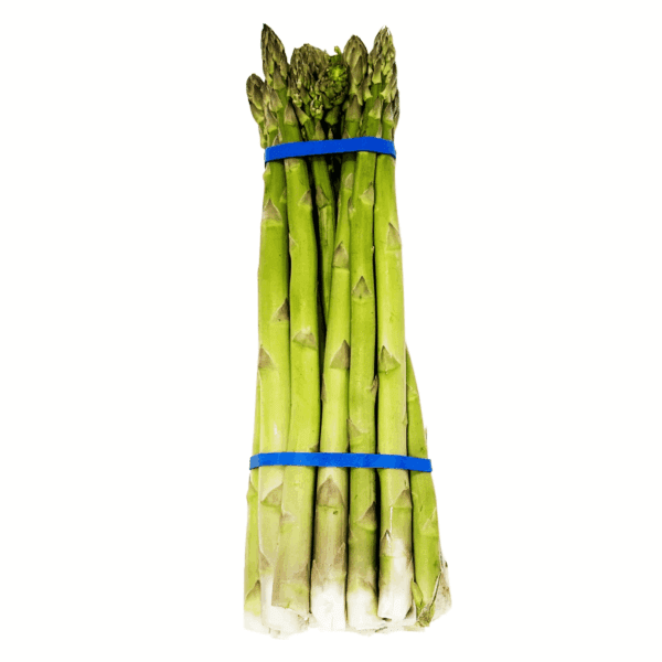 Freshly Harvested, Cut and Refrigerated Green Asparagus, Bunch - Image 7