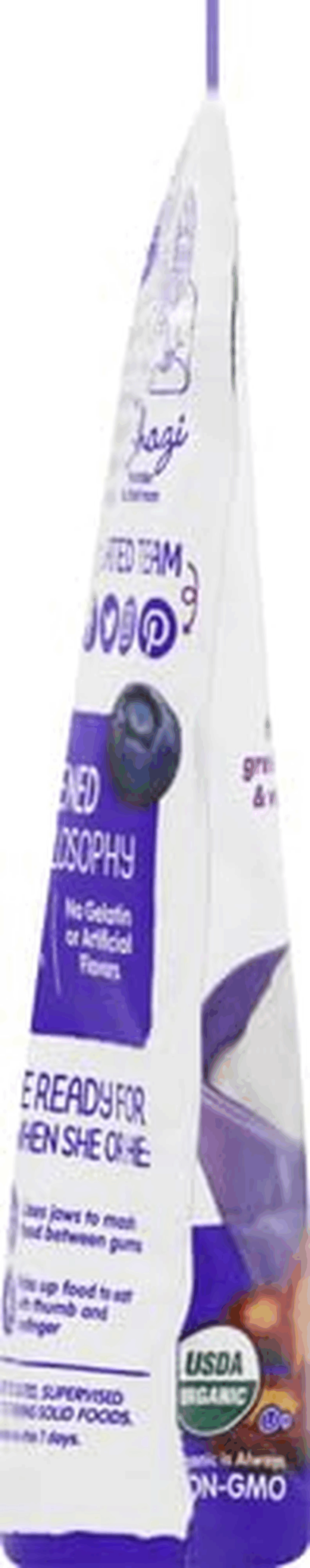 Organics Greek Yogis Freeze Dried Yogurt & Fruit Snacks, Blueberry & Purple Carrot, Packaging May Vary, 1 Oz - Image 4